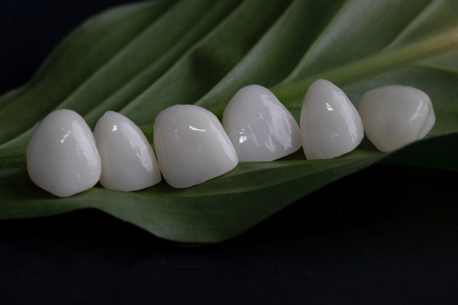 White teeth on a leaf, showcasing family dental services like Porcelain Veneers in family dentistry.